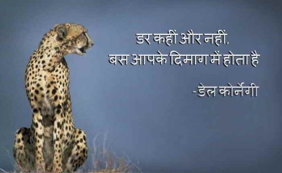 Courage Quotes in Hindi with Lion Images