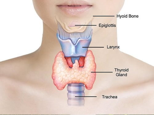 Thyroid Bimari Ke Lakshan Ilaj - Symptoms Treatment in Hindi थायराइड बीमारी के लक्षण और इलाज