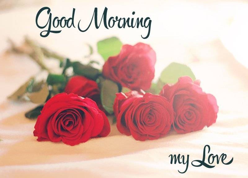 Good Morning Love Shayari