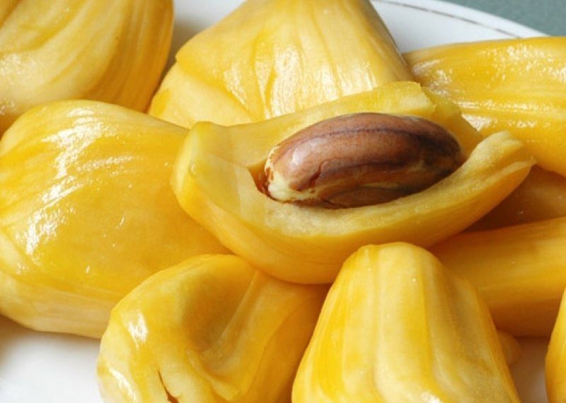 के बीज के फायदे गुण एवं स्वास्थ्य लाभ Benefits of Jackfruit Seeds in Hindi