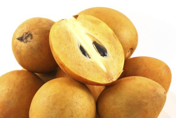 चीकू के जबरदस्त गुण लाभ फायदे और नुकसान Chiku Fruits Benefits and Side Effects in Hindi