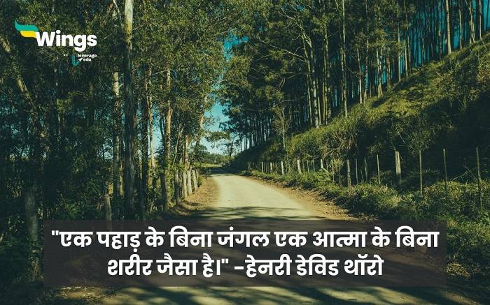 pahado par shayaridgg