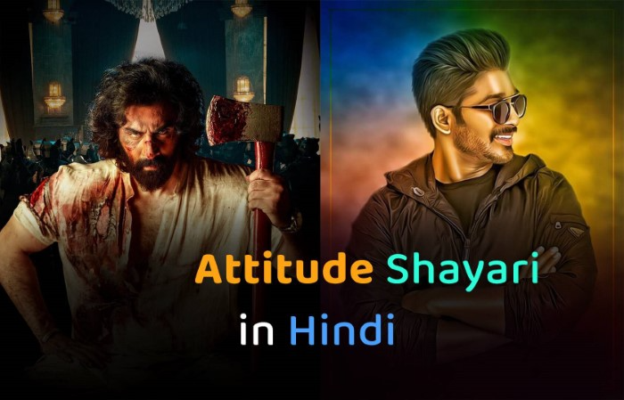 देसी एटीट्यूड शायरी क्यों करती है आपको सबसे अलग