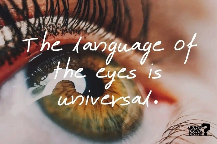 Why Shayari on Eyes Feels So Real