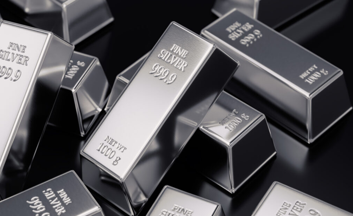 Digital silver V/S Physical silver: Which Silver Investment is right for you? Screenshot 6