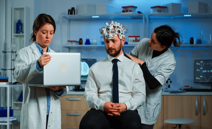 The Endocannabinoid System and Chronic Disease: What the Research Actually Shows Screenshot 71