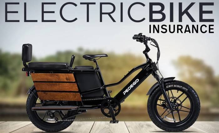 E-Bike Insurance Online: Coverage Needs for Electric Two-Wheelers Understanding E Bike Insurance Online