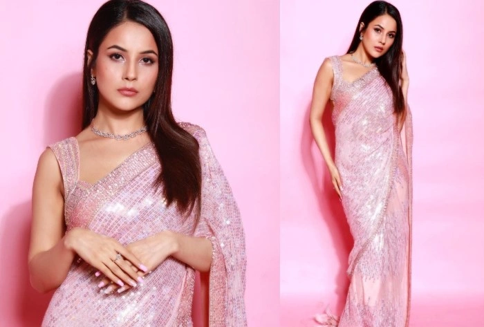 Saree Shayari कहाँ इस्तेमाल करें